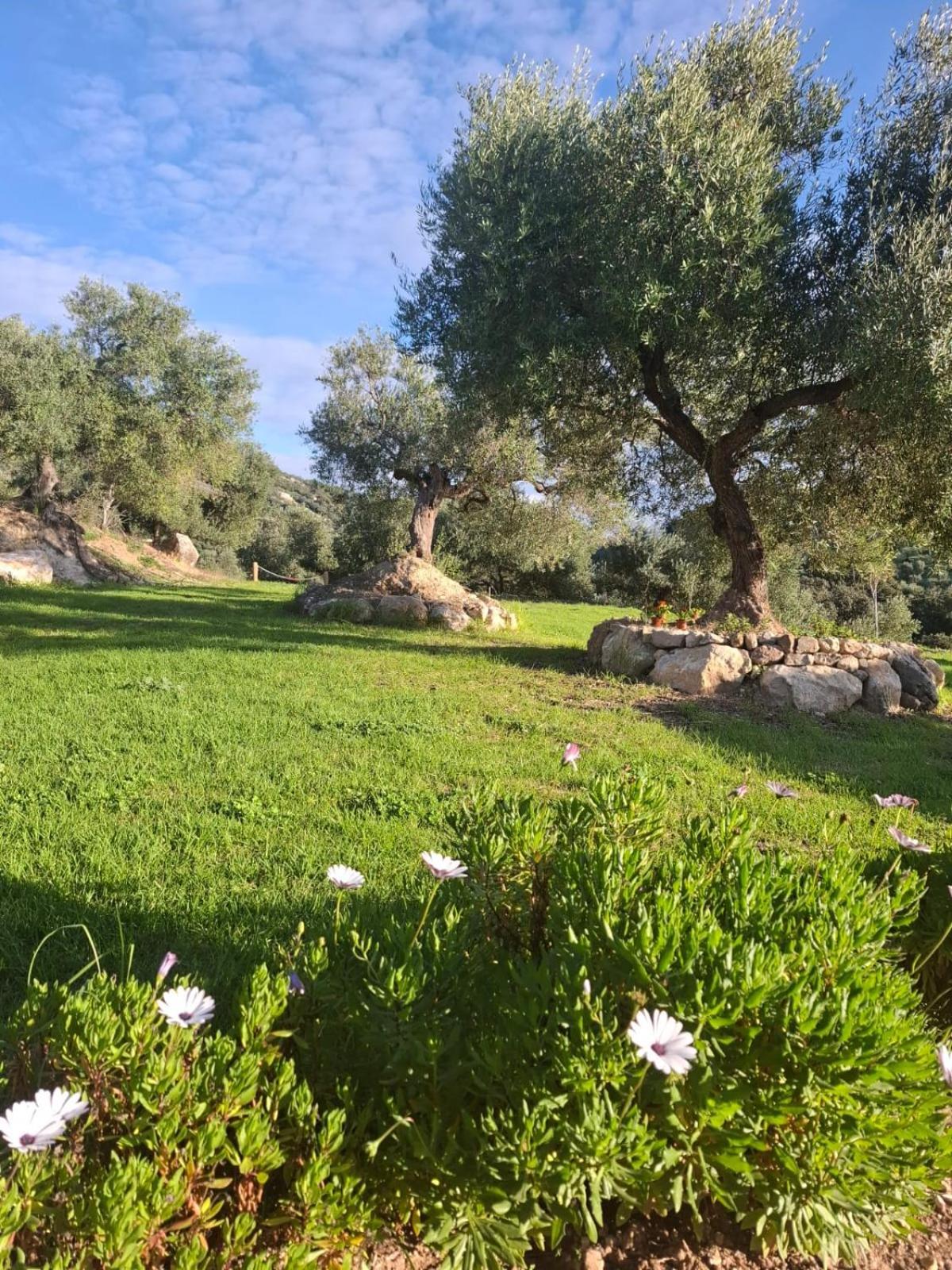 Willa Hacienda Molino Nuevo Algodonales Zewnętrze zdjęcie